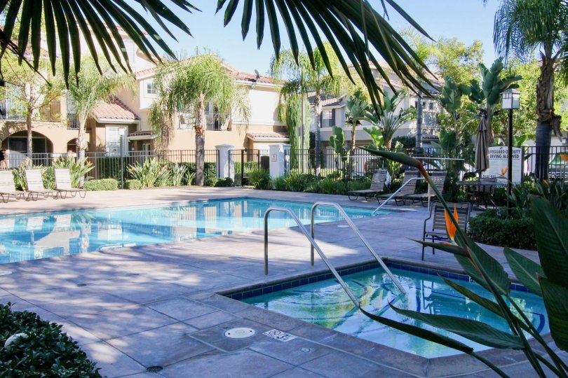 A nuclear swimming pool in a sunny day at Oak Park, California
