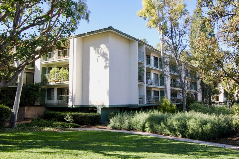 a warm day in the orangetree terrace with a building that has roofless top and garden around