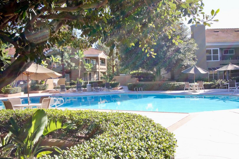 The Oxford Court with a large swimming pool and chairs beside