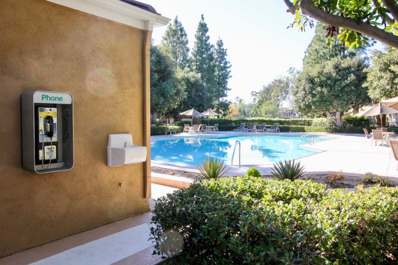 A sunny day in the area of Oxford Court, telephone, pool, beach chairs, trees, outside