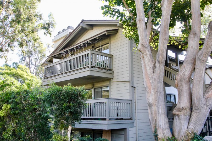 A big tree in front the building and plant around the building in Rancho San Joaquin Townhomes