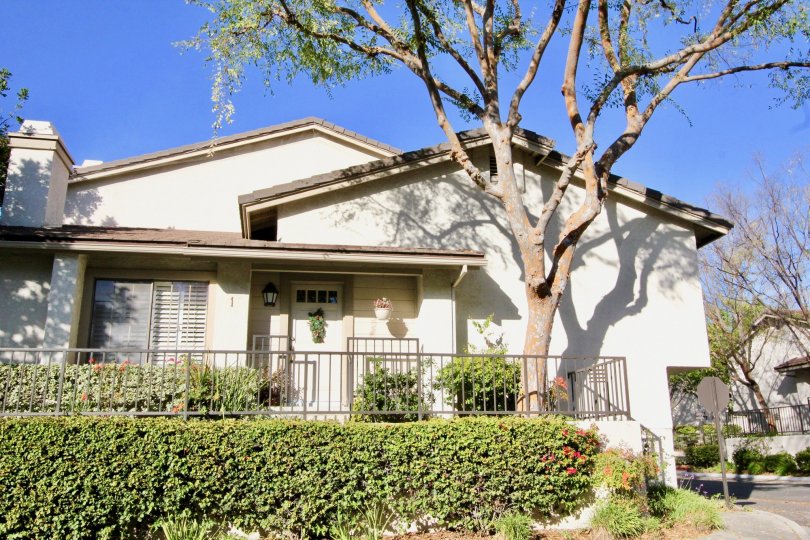 a sunny day in the ridge with a house that has numbered as 1 and has a tree that is situated above the steps