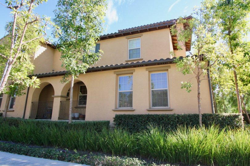Beautiful green plants and trees near villa in San Carlos of Irvine