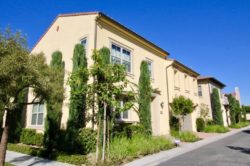 A row house with two floor with tall trees in Santa Cruz, Irvine, California