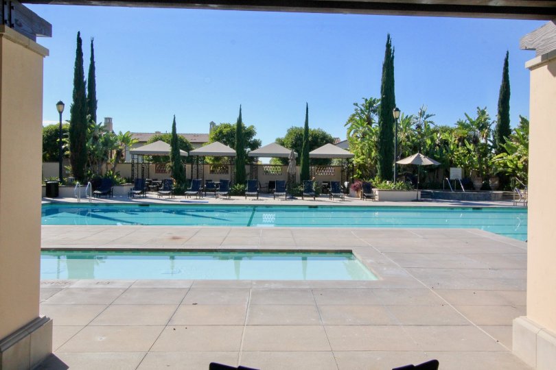 Big swimming pool is placed in Santa rosa with seating chairs and tallest trees