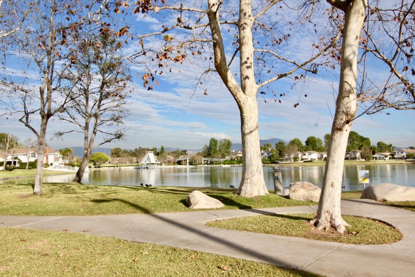 Seaport community paths on a bright day overlooking pond and trees in Irvine CA