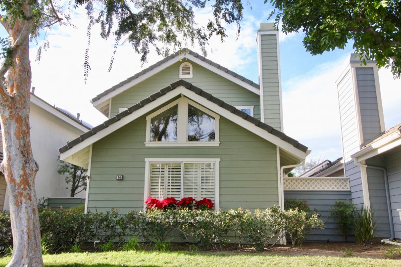 a green home in Seaport with red flowers under the window