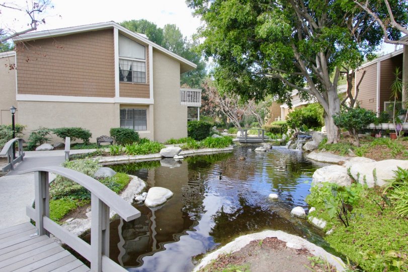 The beautiful moments of my life never before in Irvine California with a good infrastructure