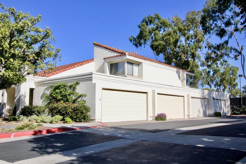 Beautiful villas in a quiet neighborhood with trees accenting the villas