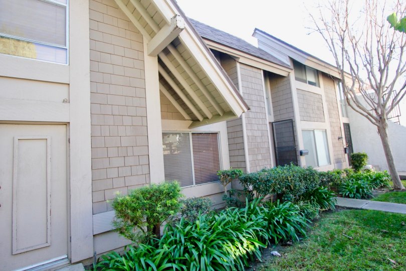 A home in Walnut Square showing the trees and exterior shrubs and walkway
