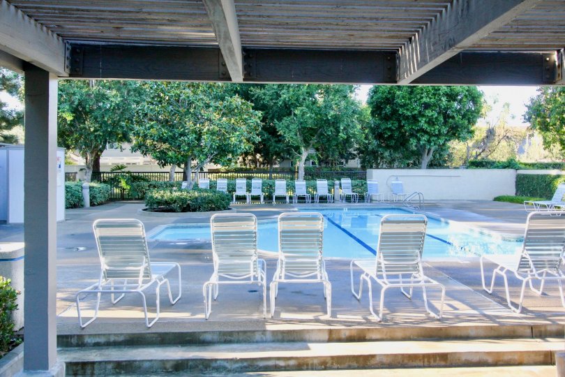 THE BEAUTIFUL SWIMMING POOL WITH LOT OF CHAIRS, BACKSIDE MANY TREES, PLANTS ARE VISIBLE IN IRVINE CITY