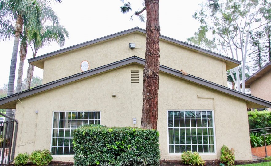 A side view of a home in Creekside Village with large windows and shrubs