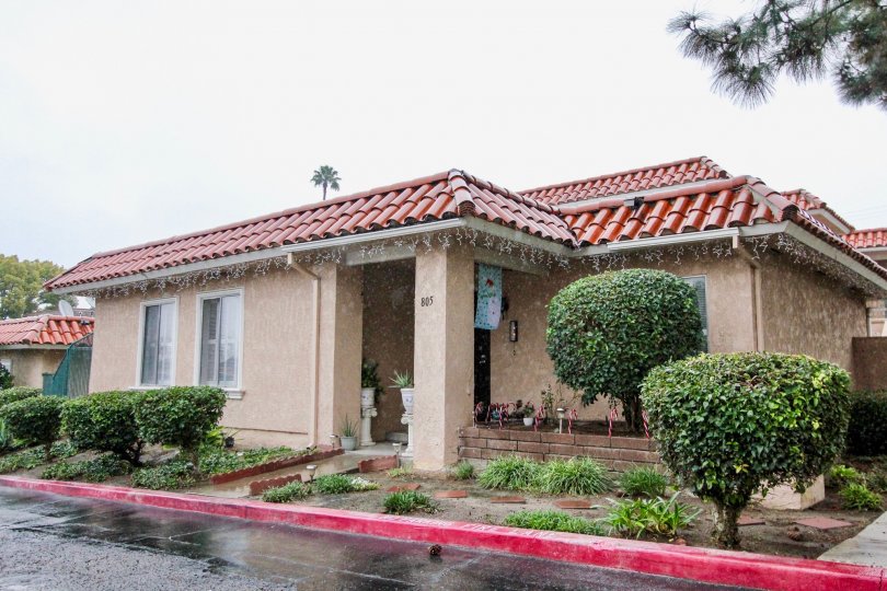THE 805 APARTMENT IN THE FASHION KNOLLS WITH THE PLANTS, TREES