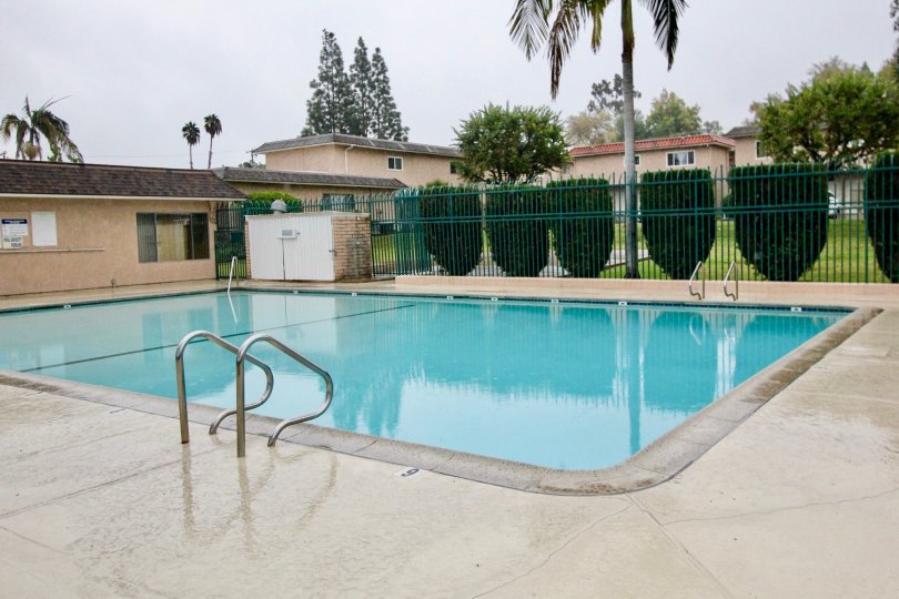 A blue color swimming pool in the Fashion Knolls with tree.