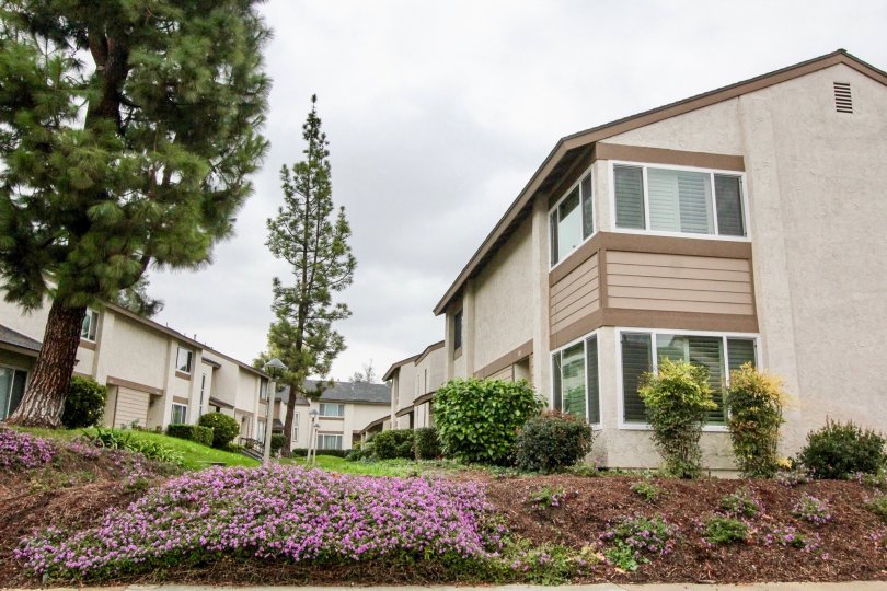Opposite to the house in Sunny Hills Village has tall trees over the house with flowers in bushes