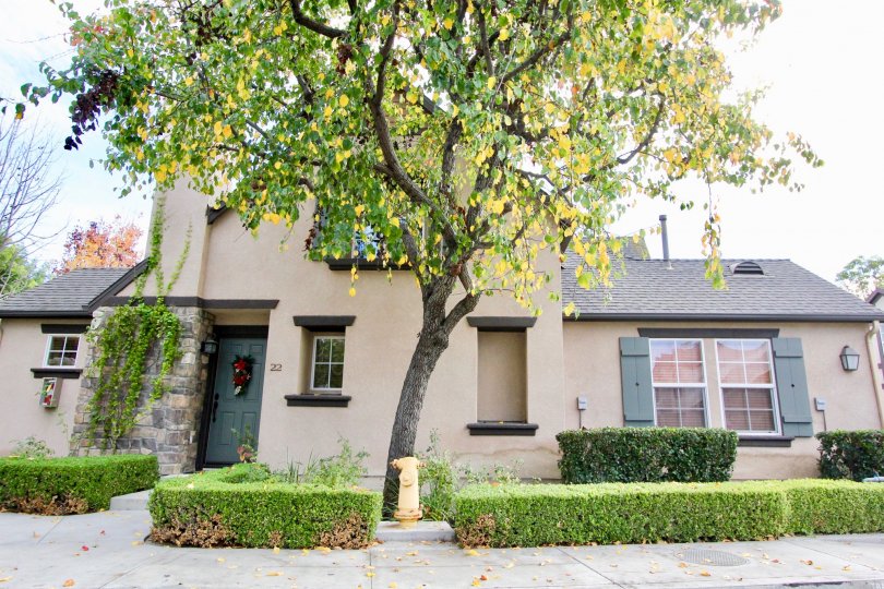 Sidewalk and lawn in the Three Vines in Ladera Ranch, CA