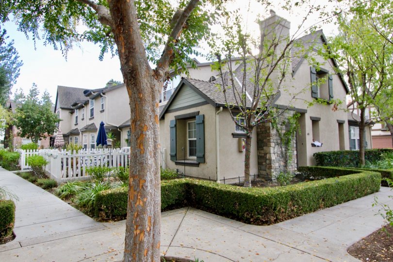 Sidewalk and hedges in Three Vines in Ladera Ranch, CA