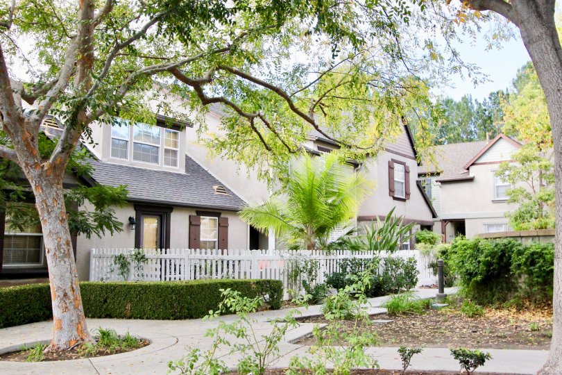 Gorgeous view of residences in Three Vines in Ladera Ranch, California. Residences are surrounded with luscious foliage from trees and bushes along pathways to the homes.