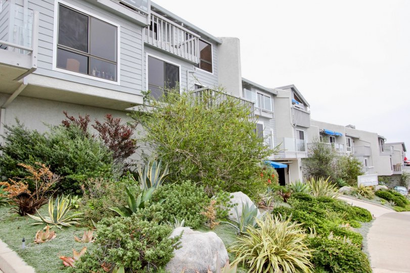 Aliso Laguna a beautiful community in Laguna Beach, California.