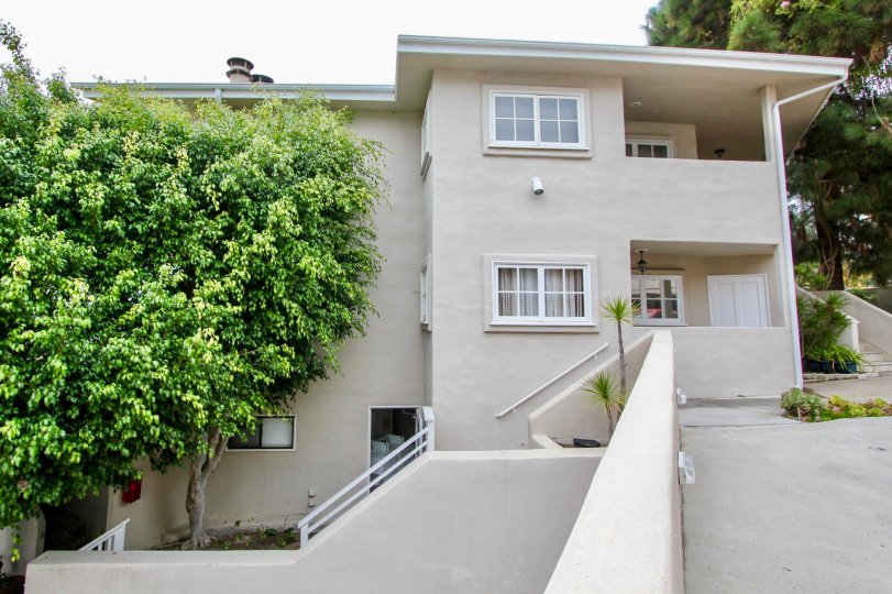 Two story Building with windows and a tree in the Creekside Community in Laguna Beach, CA.