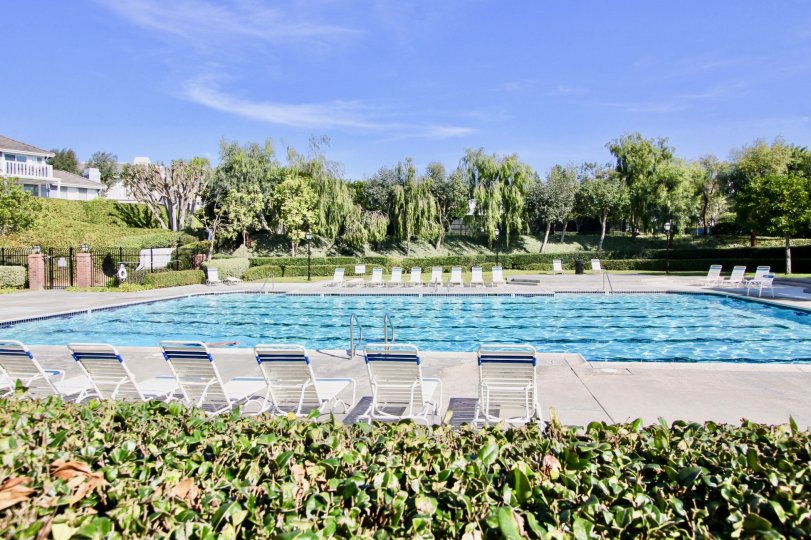 THE HOUSE IN THE BEACON HILL VISTAS WITH THE SWIMMING POOL, CHAIRS, PLANTS, TREES
