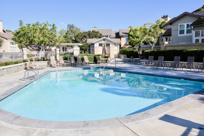 Fabulous view of swimming pool and trees near villa of Cameray Pointe of Laguna Niguel