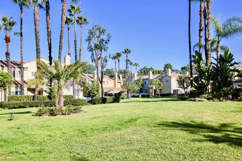 A beautiful lawn in the Chandon nearby some buildings.