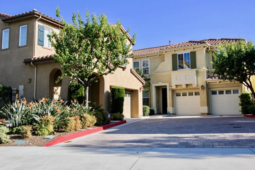 THE Cornerstone Take in the remarkable canyon, hills & some city lights view from this great 3 bedroom, 2 ½ bathroom home in the wonderful Cornerstone neighborhood in Laguna Niguel.