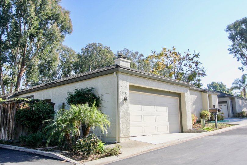 Small palm trees by the Foothill Townhomes in Laguna Niguel California