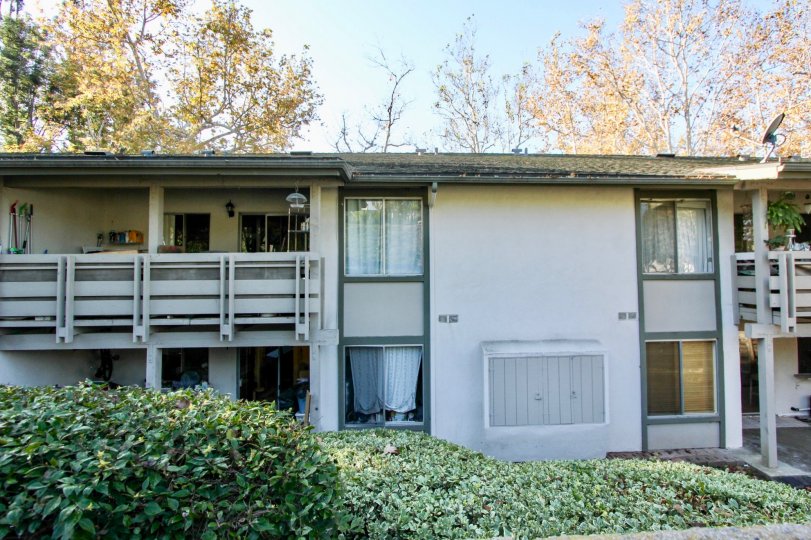 Hedges and fall trees at Hillhurst Condos in Laguna Niguel, CA