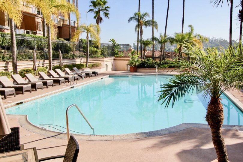 The great pool in La Vista, Laguna Niguel California