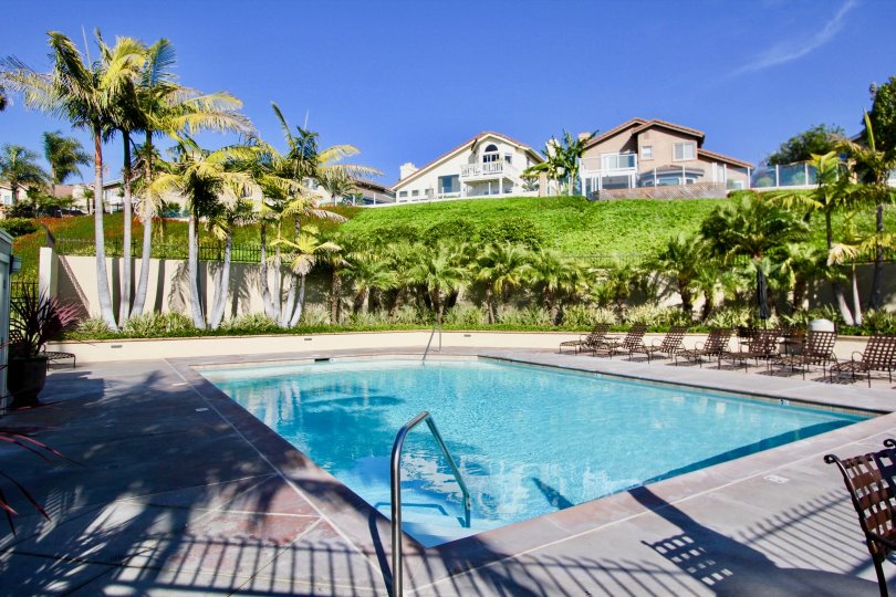 THE FLAT IN THE LE ST. TROPEZ WITH THE SWIMMING POOL, CHAIRS, LAWN, PLANTS, TREES