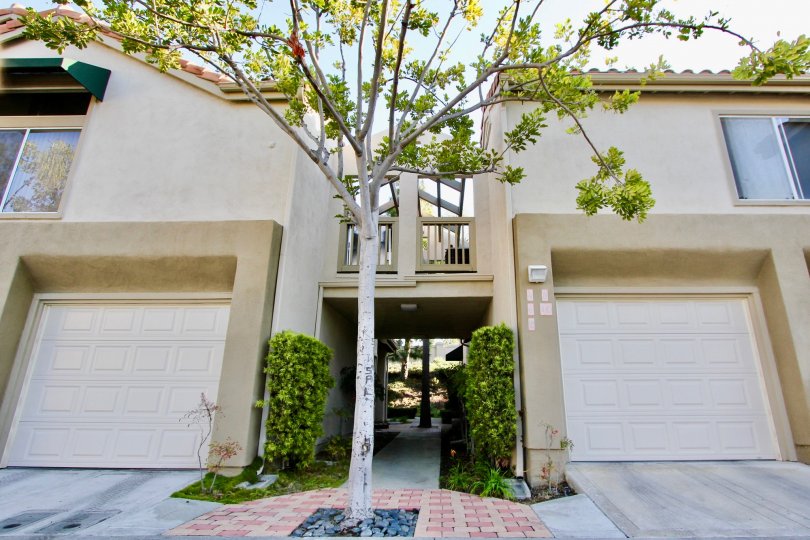 A bright day in the palm court condos in Laguna Niguel California, with bright green plants.