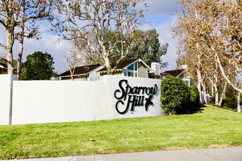 Beautiful fall day in the Sparrow Hill community in Laguna Niguel, CA