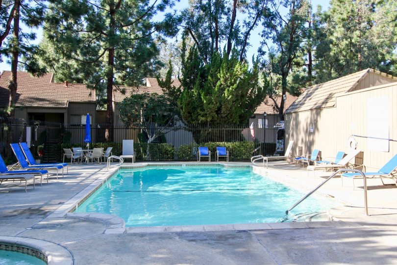 The East Nine community swimming pool facility with it's perfectly green sorrounding, Laguna Nigel, California