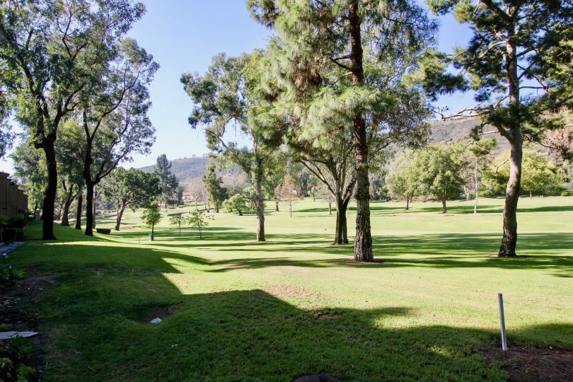 The green fairway lined with pines at the The East Nine in Laguna Niguel, California