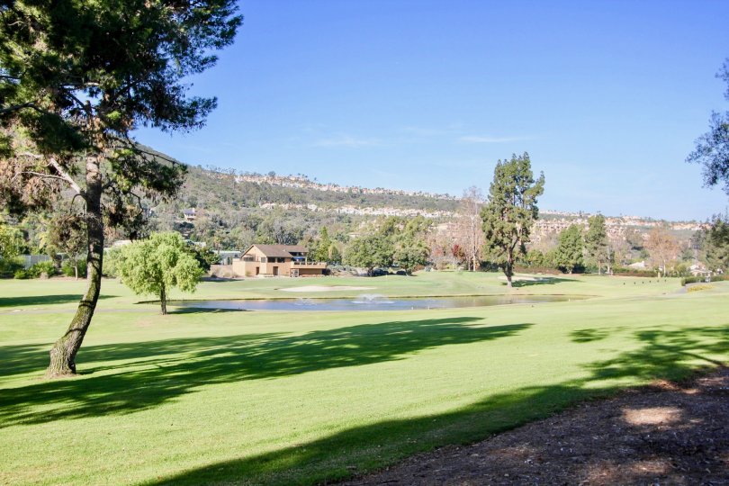 THE HILLS IN THE The East Nine WITH THE LAKE, LAWN, PLANTS, TREES