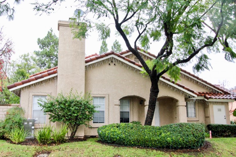 A great single story home is offered for lease. This open-floor-plan home has lots of open space for entertaining. The kitchen has granite counter-tops and hardwood floors. This home also has a tastefully remodeled master bedroom & master bath and a charm
