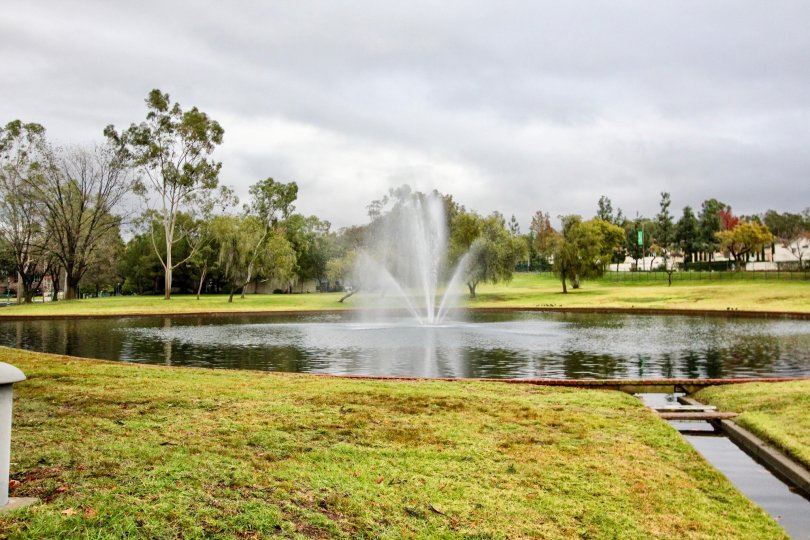Lawn and fountain at Lake Forest Keys in Lake Forest, CA