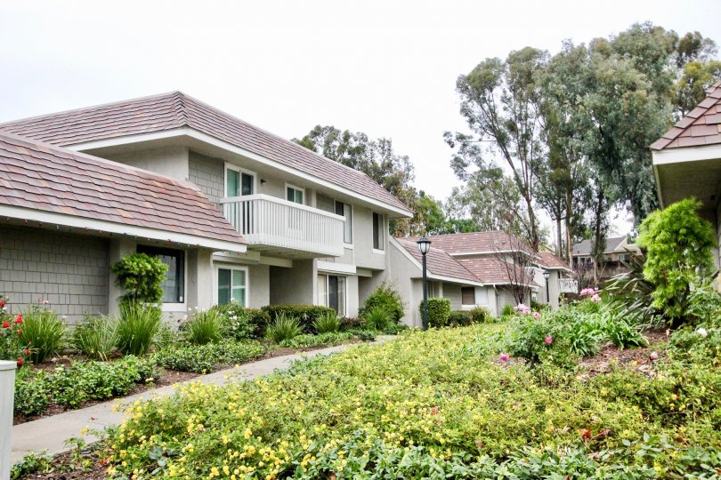 Nice garden with trees in front of villas in Lakeside Park of Lake Forest