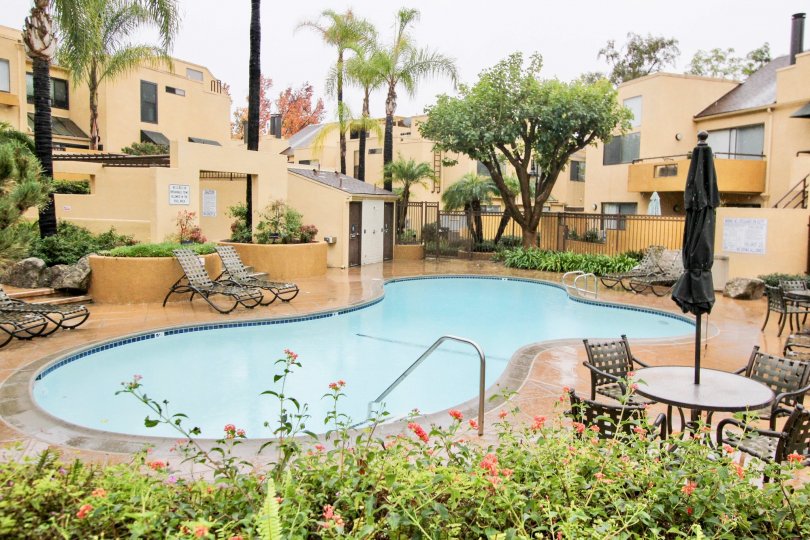 Nice swimming pool with flower garden between villas of Le Parc of Lake Forest