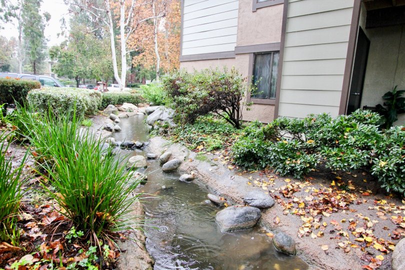 Brush and stream in Pheasant Creek in Lake Forest, CA