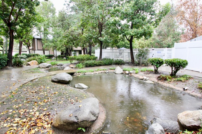 the pheasant Creek is a lake area of the house front side in lake forest city in CA