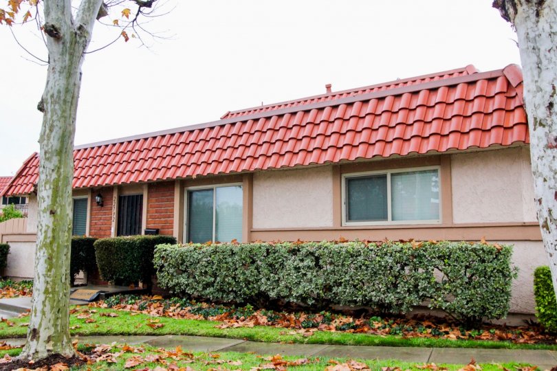 red roofed home with beautiful bushes in the city of lake forest