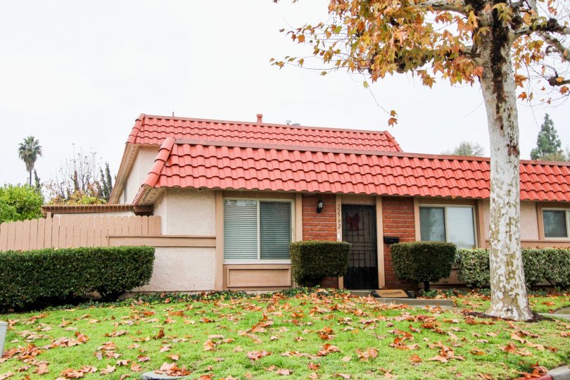 House with a front lwan and lush greenery in Lake forest