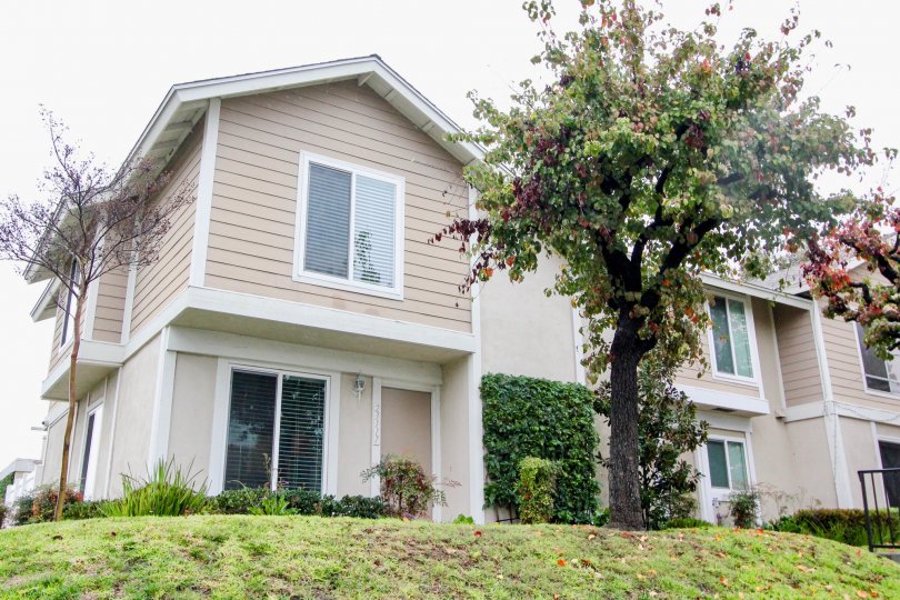 THE 23777 FLAT IN THE VIEJO WEST WITH THE PLANTS, TREES