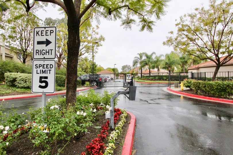 Rain and overcast at the Villorio in Lake Forest, CA