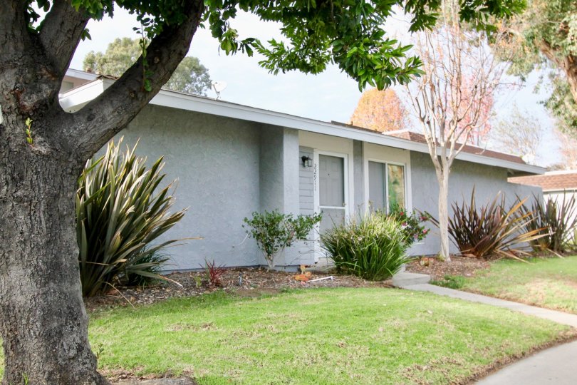 Nice green lawn and trees near villa in Aliso Villas of Mission Viejo