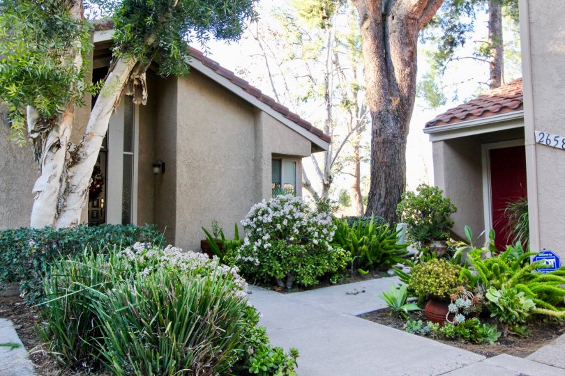 the la mancha is a neem tree house of the mission viejo city in california state