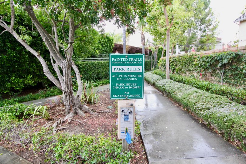 THE FLAT IN THE MAGDALENA WITH THE PATHWAY, PLANTS, TREES
